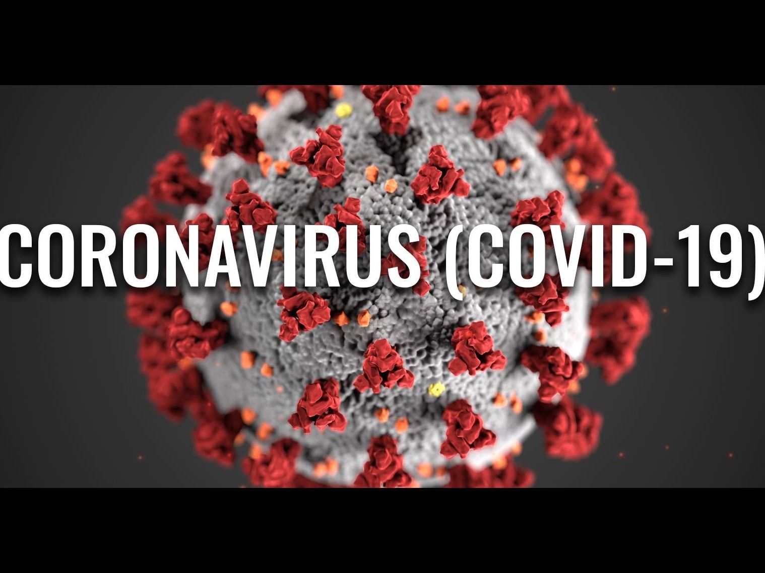 CoronaVirusHeader logo